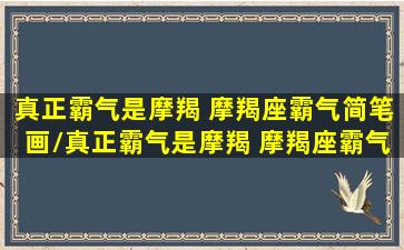 真正霸气是摩羯 摩羯座霸气简笔画/真正霸气是摩羯 摩羯座霸气简笔画-我的网站